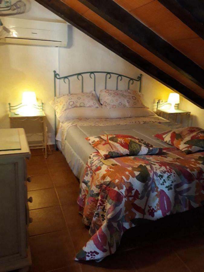 Chalet La Huerta 2 Amplios Jardines Barbacoa Y Wifi コニル・デ・ラ・フロンテラ エクステリア 写真